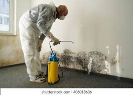 Mold Removal for HVAC Installations in Rock Falls, IL